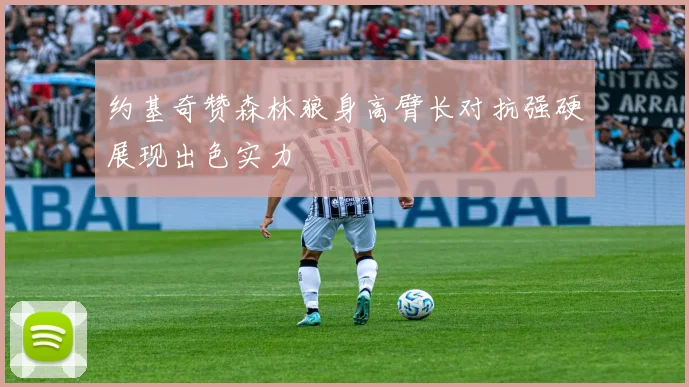 约基奇赞森林狼身高臂长对抗强硬展现出色实力